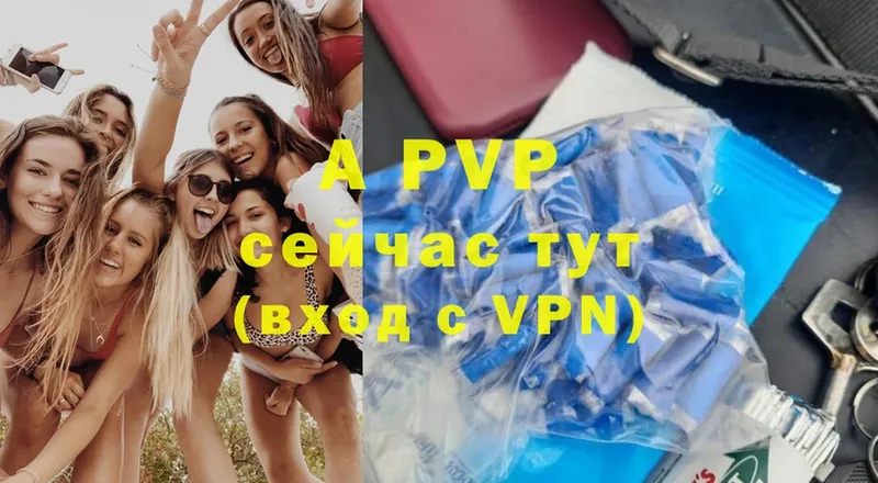 Alfa_PVP СК  Кингисепп 