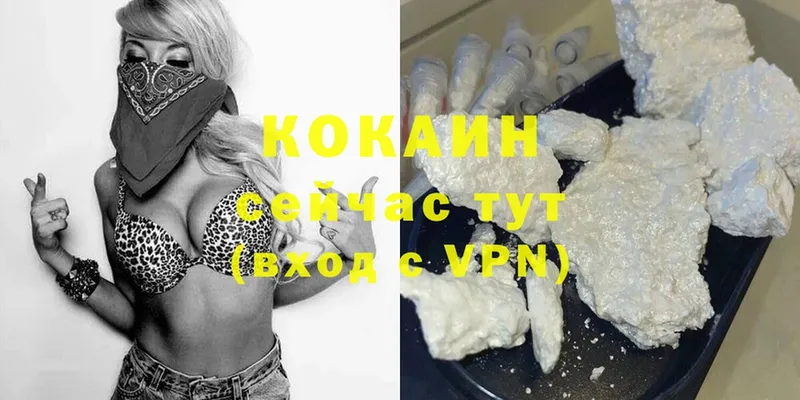 kraken   магазин    Кингисепп  Cocaine Fish Scale 